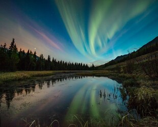 BEHOLD THE NORTHERN LIGHTS