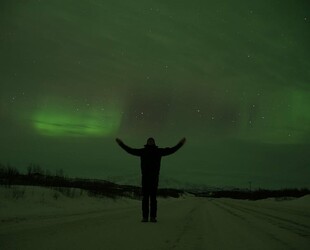 WANDER THROUGH THE TUNDRA LANDSCAPE