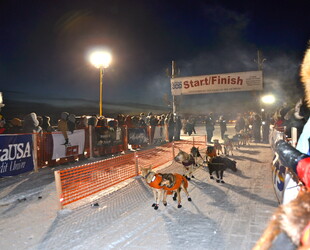 KUSKOKWIM 300 DOG SLED RACE