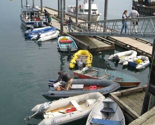 GUSTAVUS DOCK