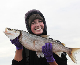 FISHING IN THE KOTZEBUE SOUND