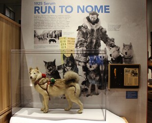 EXPLORING THE CARRIE M. MCCLAIN MEMORIAL MUSEUM