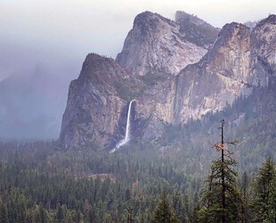 EXPLORE THE FORESTA GARDEN AT YOSEMITE NATIONAL PARK