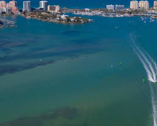 PEDALING ALONGSIDE CLEARWATER'S BIKE TRAILS