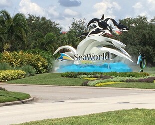 DISCOVERING SEAWORLD ORLANDO