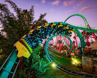 BUSCH GARDENS TAMPA BAY