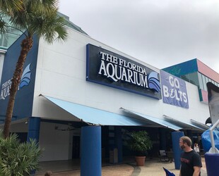 THE FLORIDA AQUARIUM