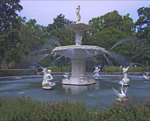 STROLLING THROUGH FORSYTH PARK