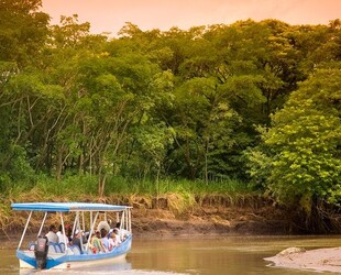 WILDLIFE WATCHING AT PALO VERDE NATIONAL PARK