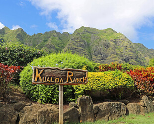 EMBRACE NATURE AT THE HONOLULU BOTANICAL GARDENS