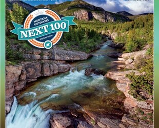 WILDLIFE SPECTACLE AT HELENA NATIONAL FOREST