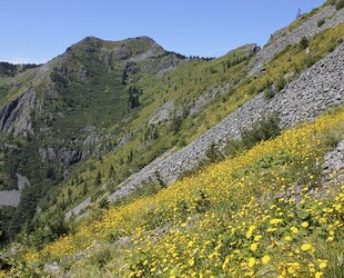 WILD HORSE ISLAND STATE PARK