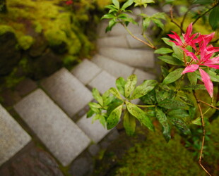 EXPLORING PORTLAND JAPANESE GARDEN