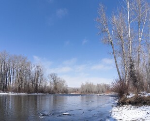 ENJOY OUTDOOR RECREATION AT PROVO CANYON