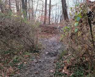 WALKING ALONG THE JAMES RIVER