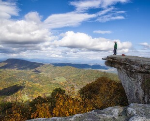 TREK THE MCAFEES KNOB