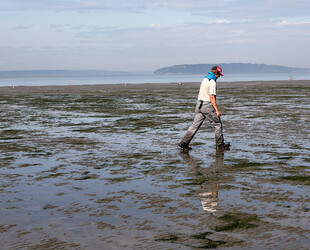 MEANDER THROUGH JETTY ISLAND