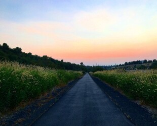 STROLL THROUGH BILL CHIPMAN PALOUSE TRAIL